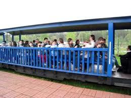 Kolejka wąskotorowa Hajnówka-Topiło